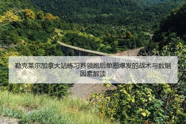 lei-ke-lai-er-jia-na-da-zhan-lian-xi-sai-ling-pao-hou-dan-quan-bao-fa-de-zhan-shu-yu-shu-ju-yin-su-jie-du-2-447.jpg